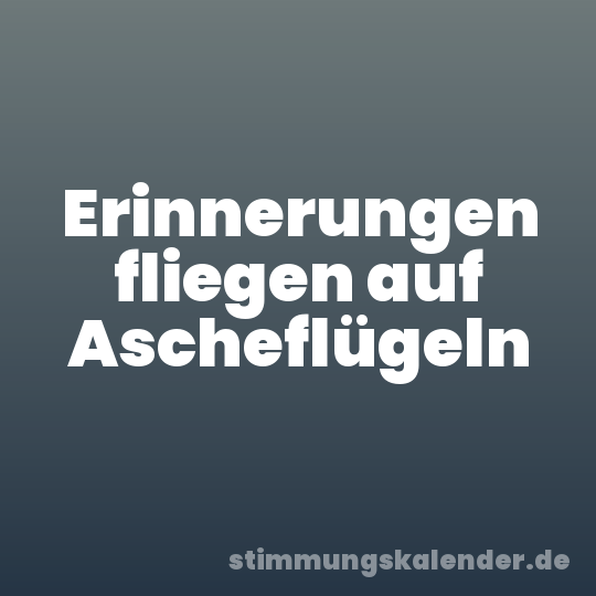 Erinnerungen fliegen auf Ascheflügeln