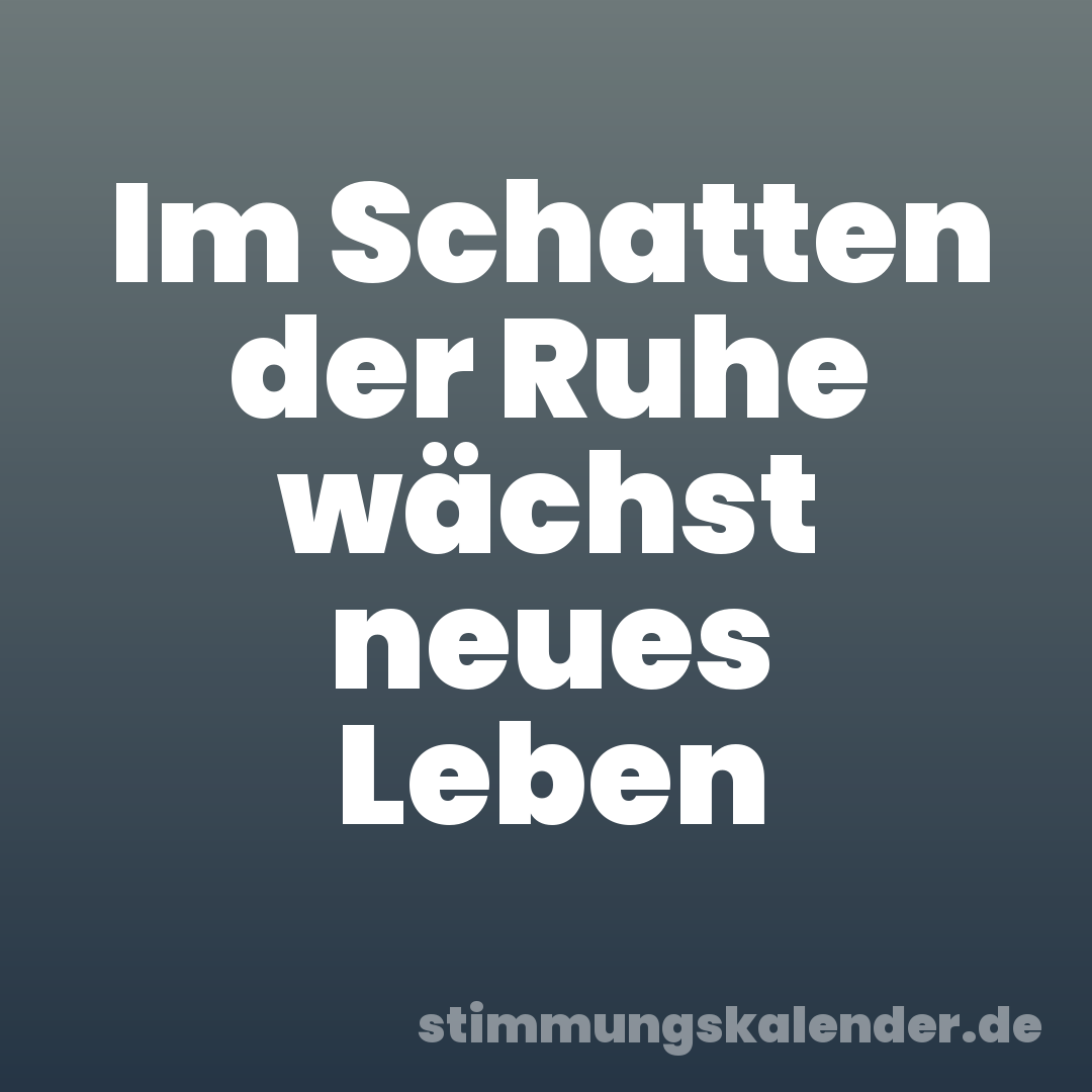 Im Schatten der Ruhe wächst neues Leben