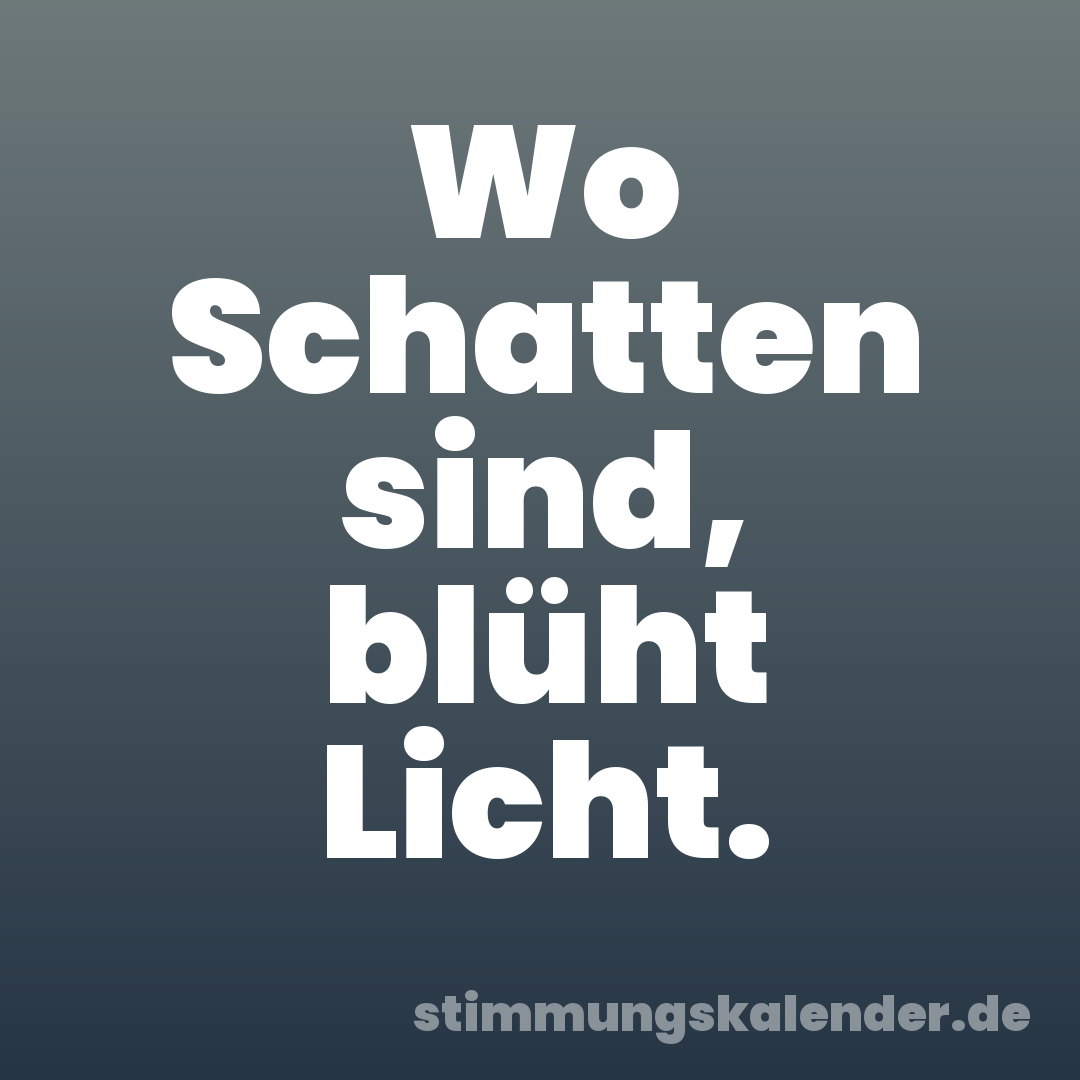 Wo Schatten sind, blüht Licht.