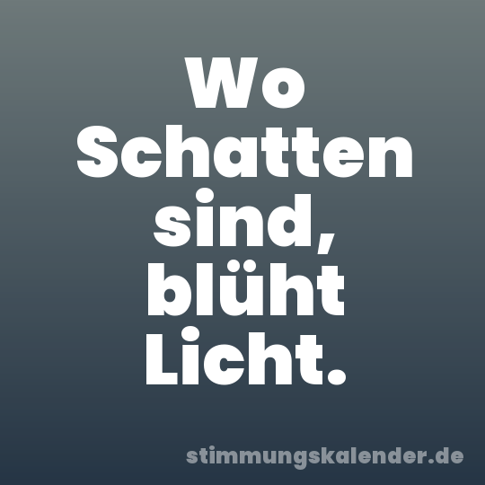 Wo Schatten sind, blüht Licht.