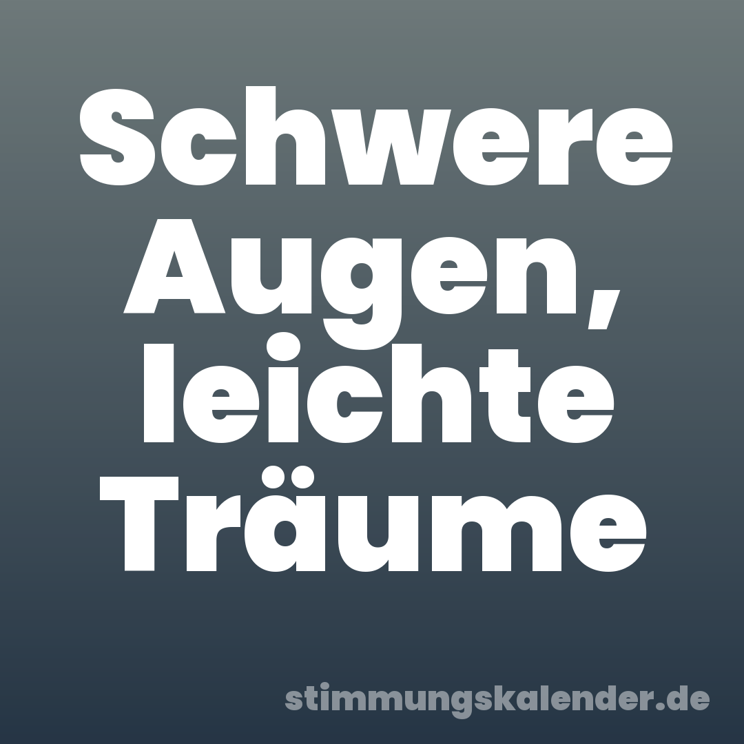 Schwere Augen, leichte Träume