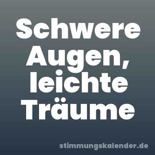 Schwere Augen, leichte Träume