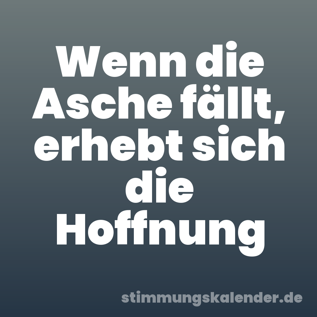 Wenn die Asche fällt, erhebt sich die Hoffnung
