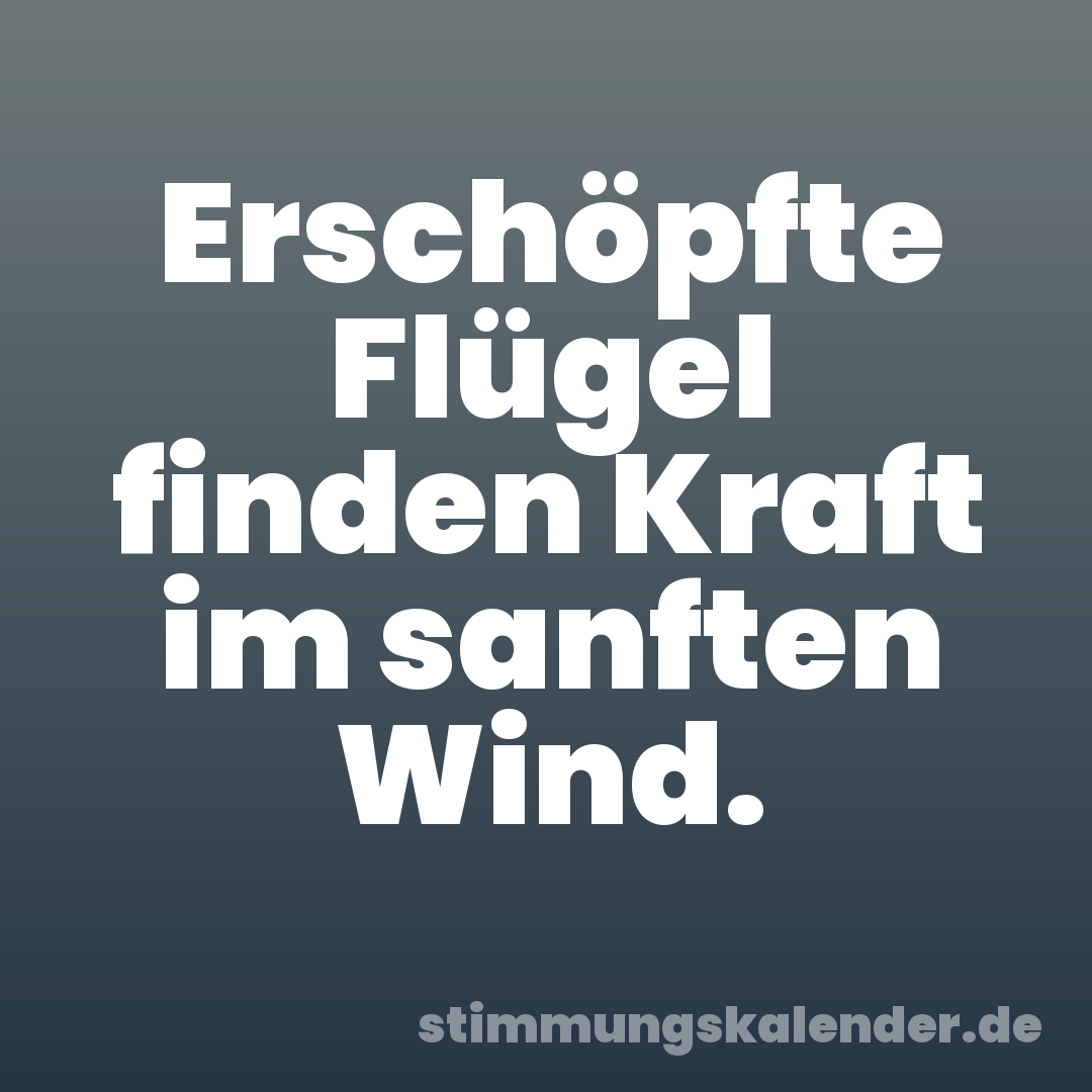 Erschöpfte Flügel finden Kraft im sanften Wind.