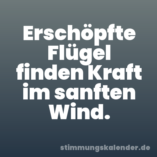 Erschöpfte Flügel finden Kraft im sanften Wind.