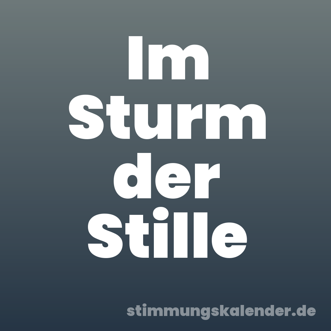 Im Sturm der Stille