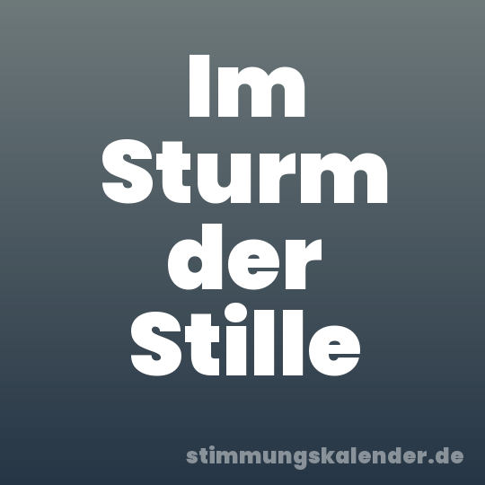 Im Sturm der Stille
