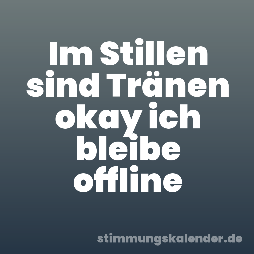 Im Stillen sind Tränen okay ich bleibe offline