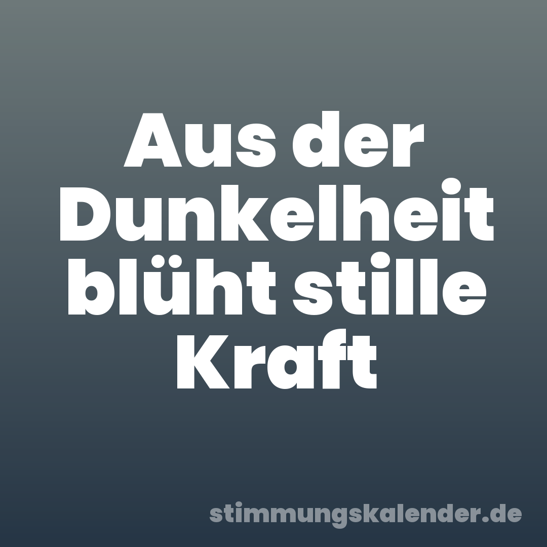 Aus der Dunkelheit blüht stille Kraft