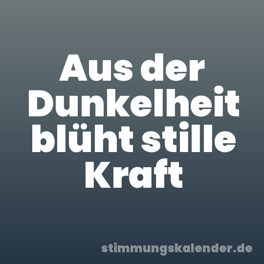 Aus der Dunkelheit blüht stille Kraft
