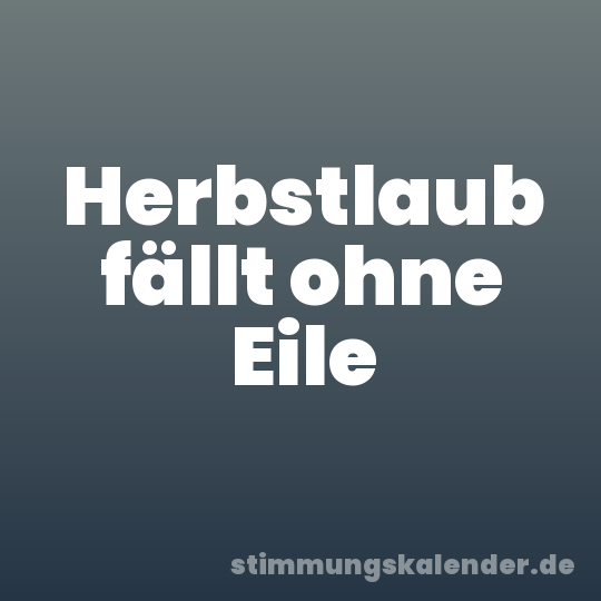 Herbstlaub fällt ohne Eile
