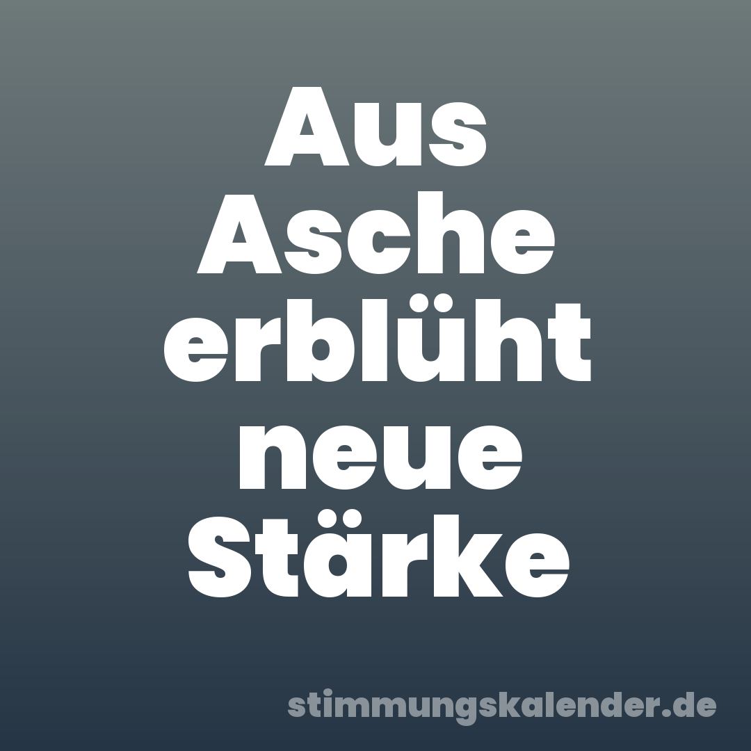 Aus Asche erblüht neue Stärke