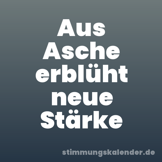Aus Asche erblüht neue Stärke