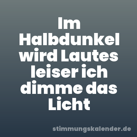 Im Halbdunkel wird Lautes leiser ich dimme das Licht