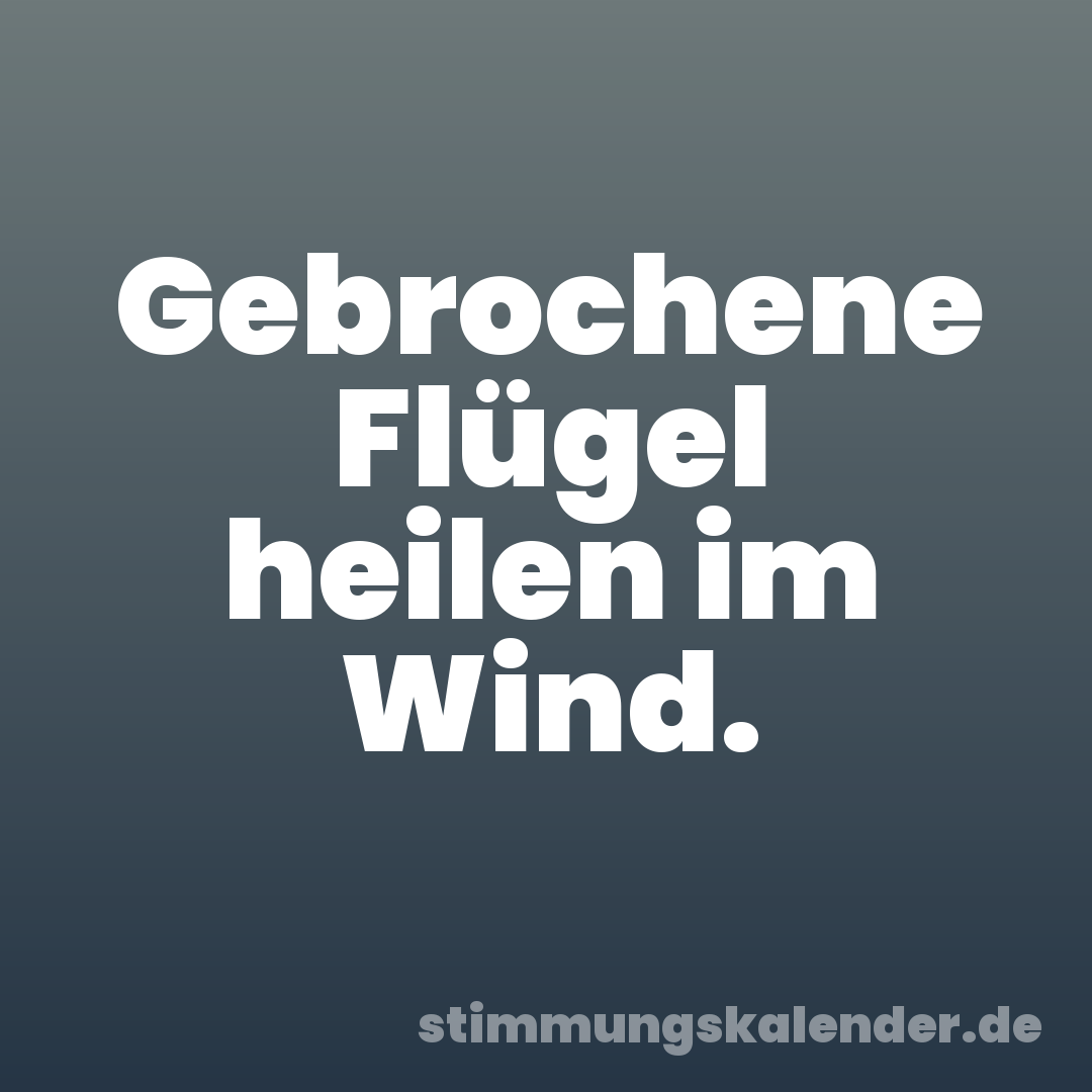 Gebrochene Flügel heilen im Wind.