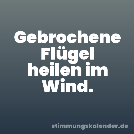Gebrochene Flügel heilen im Wind.
