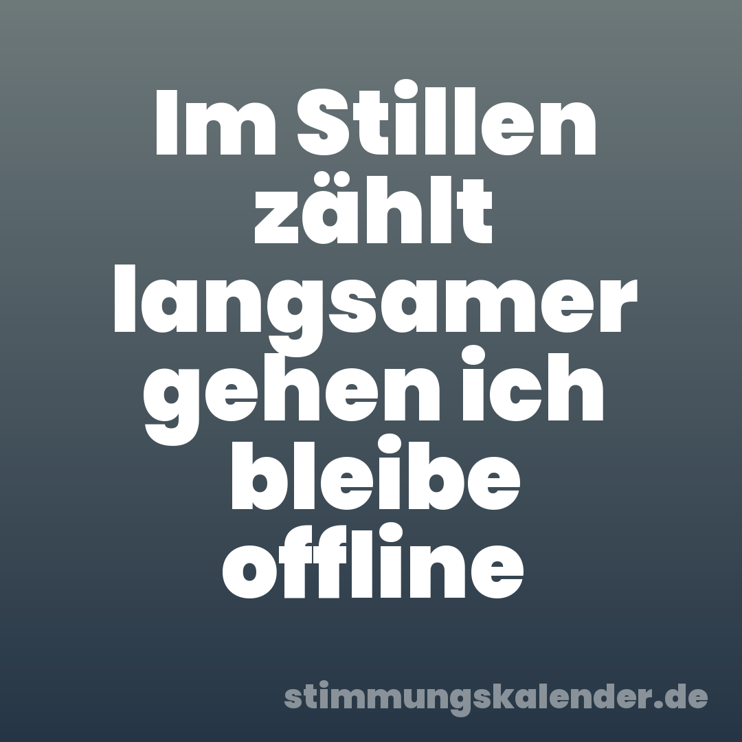 Im Stillen zählt langsamer gehen ich bleibe offline