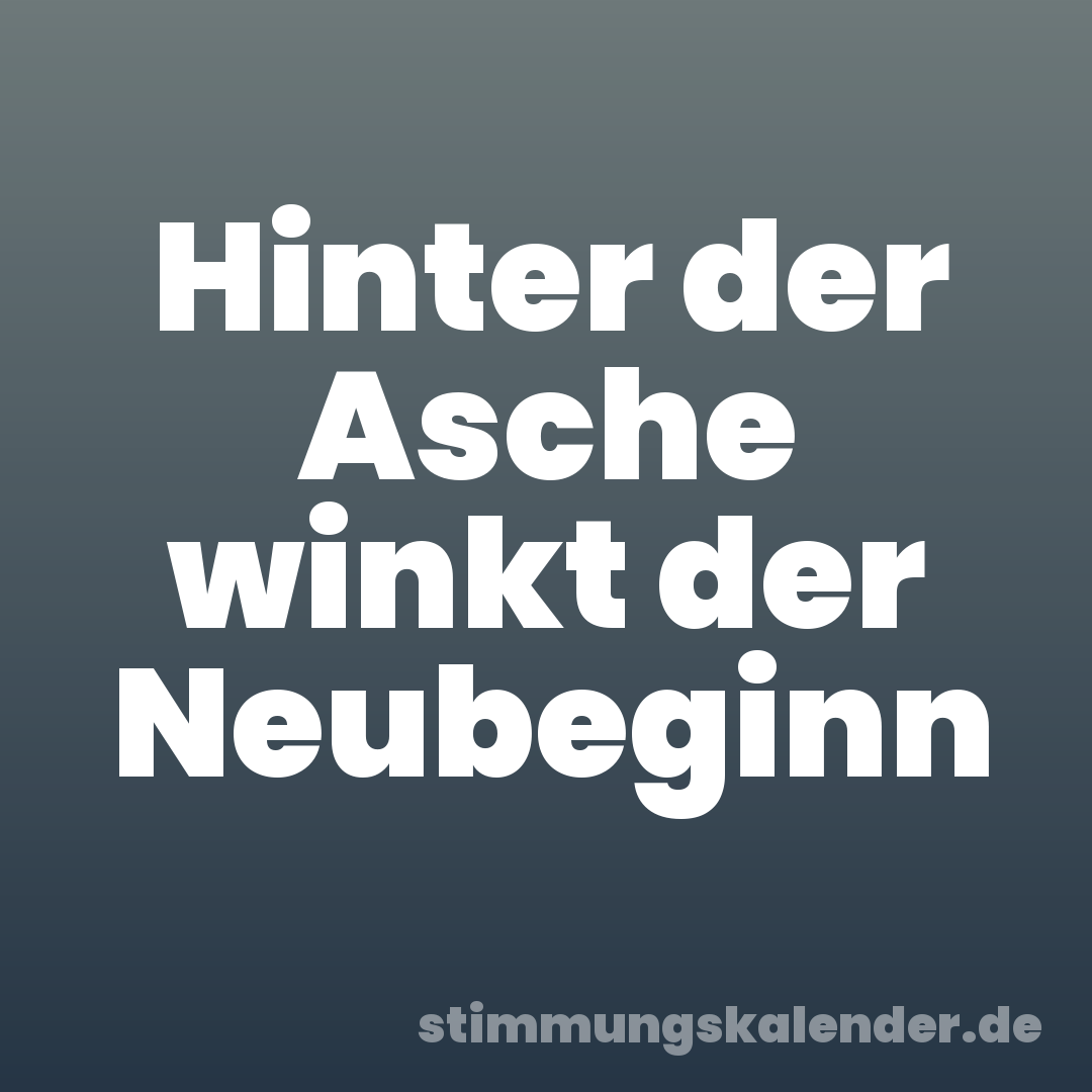Hinter der Asche winkt der Neubeginn