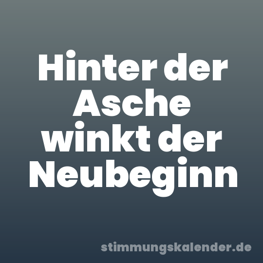 Hinter der Asche winkt der Neubeginn