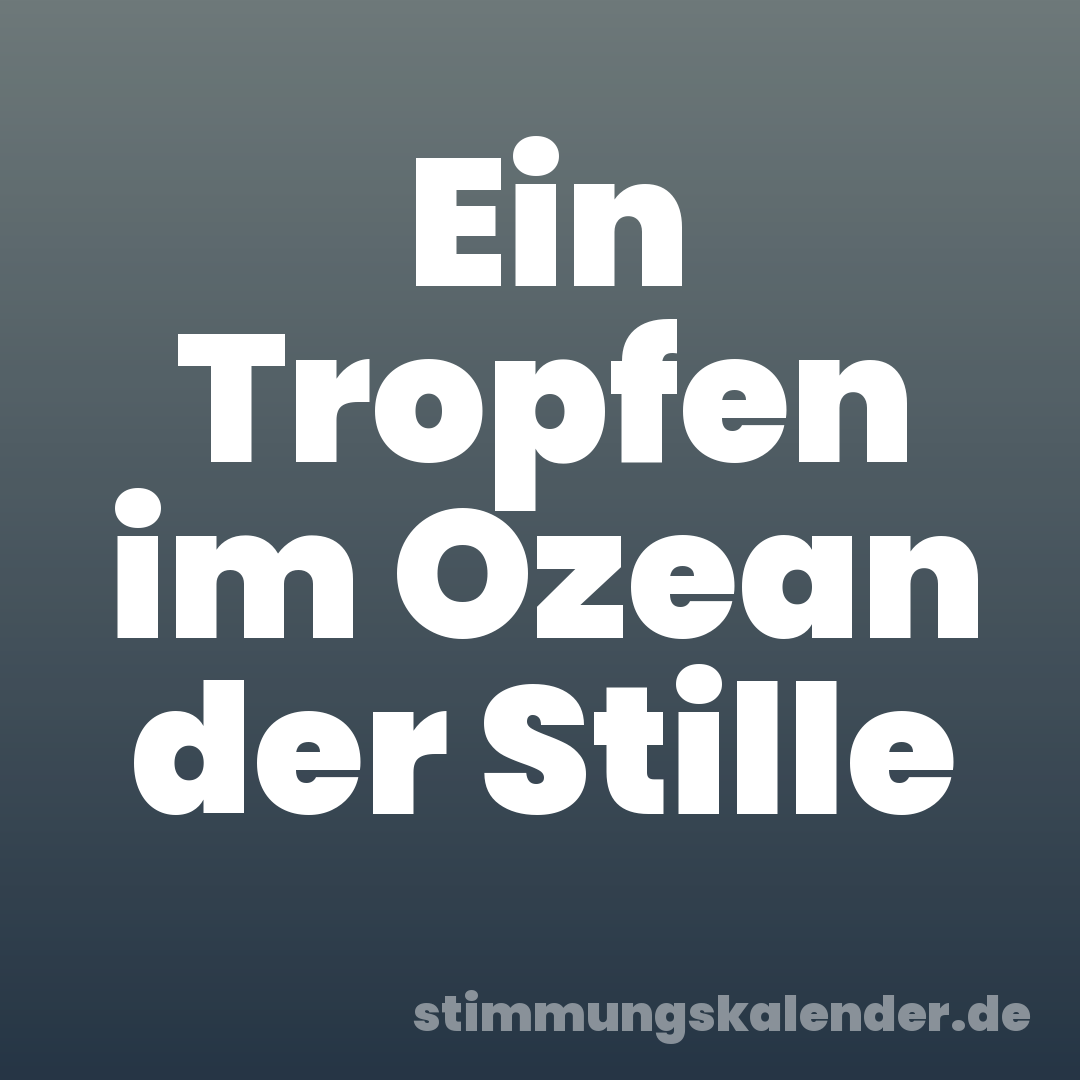 Ein Tropfen im Ozean der Stille