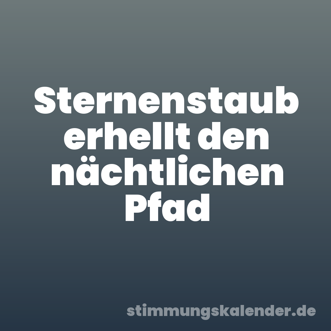 Sternenstaub erhellt den nächtlichen Pfad