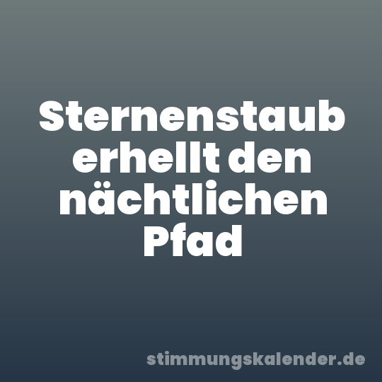 Sternenstaub erhellt den nächtlichen Pfad