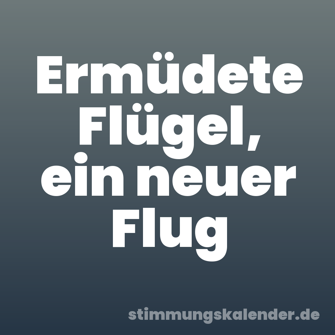 Ermüdete Flügel, ein neuer Flug
