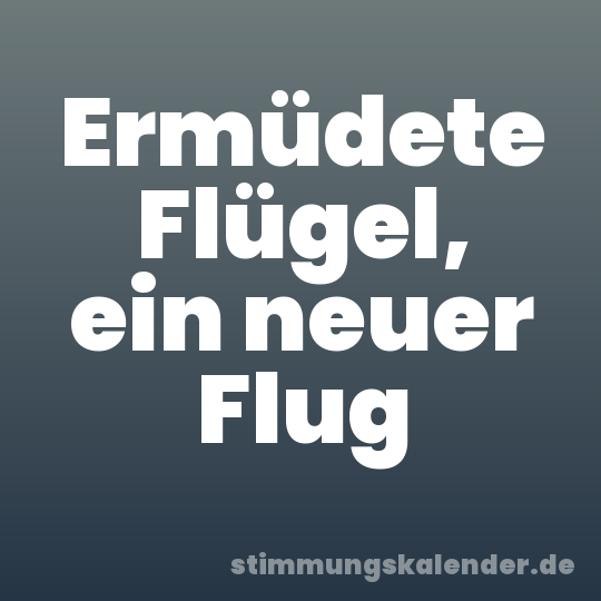 Ermüdete Flügel, ein neuer Flug