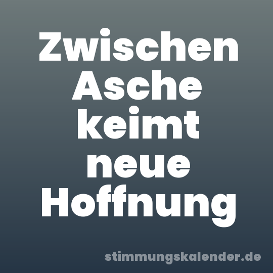 Zwischen Asche keimt neue Hoffnung