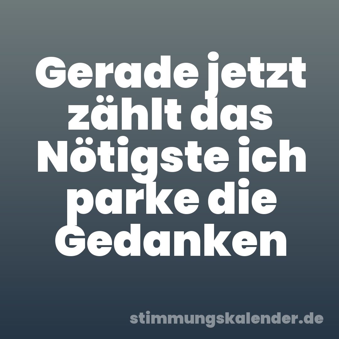 Gerade jetzt zählt das Nötigste ich parke die Gedanken