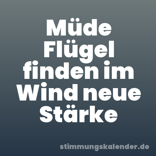 Müde Flügel finden im Wind neue Stärke