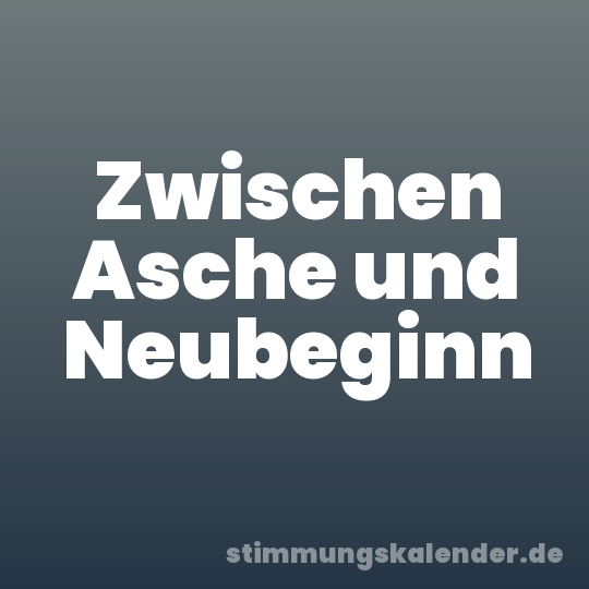 Zwischen Asche und Neubeginn