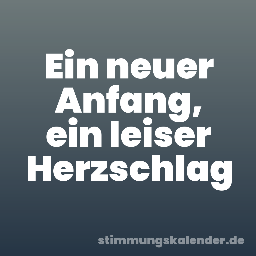 Ein neuer Anfang, ein leiser Herzschlag