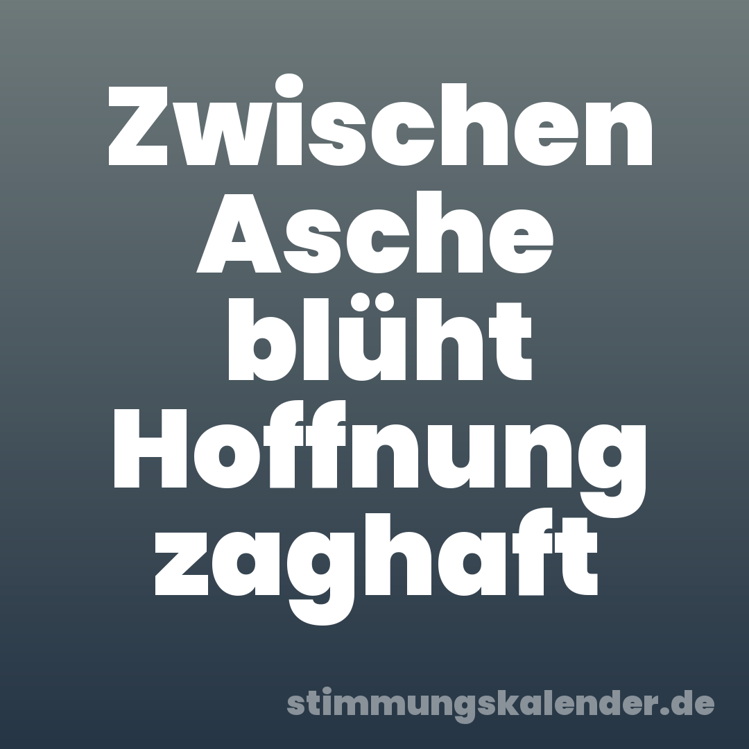 Zwischen Asche blüht Hoffnung zaghaft