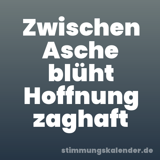 Zwischen Asche blüht Hoffnung zaghaft