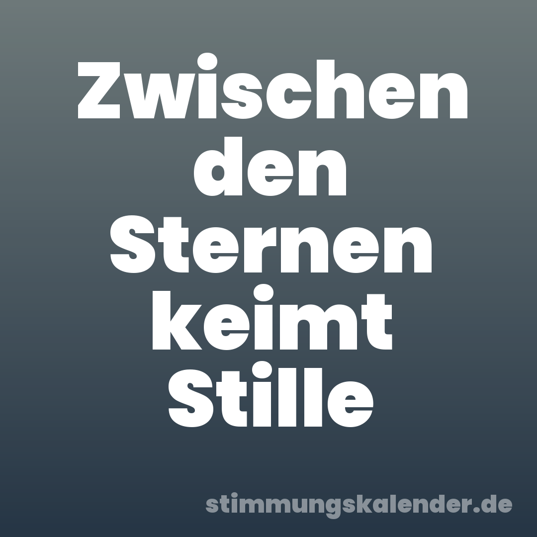 Zwischen den Sternen keimt Stille