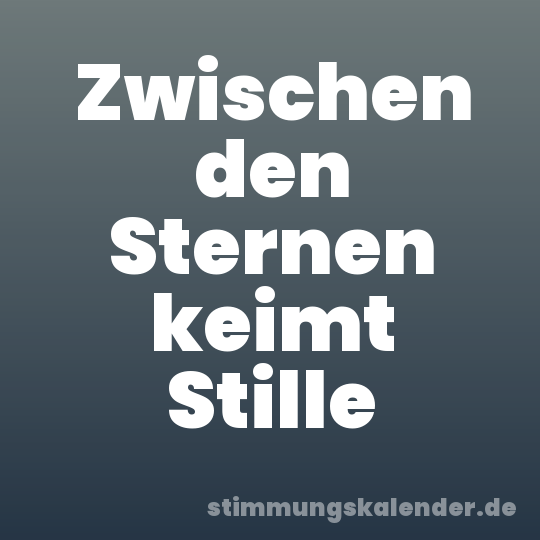 Zwischen den Sternen keimt Stille