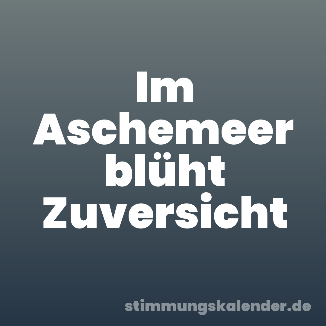 Im Aschemeer blüht Zuversicht