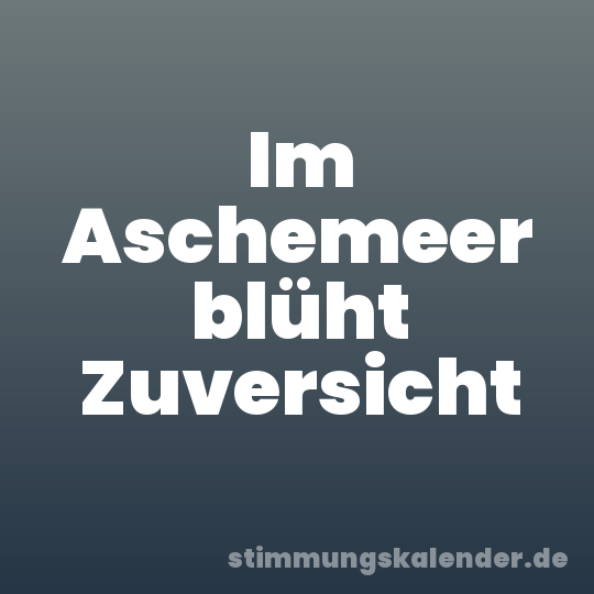 Im Aschemeer blüht Zuversicht