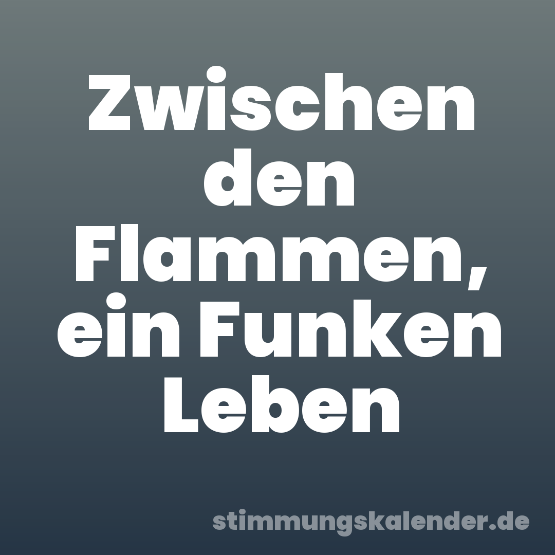 Zwischen den Flammen, ein Funken Leben