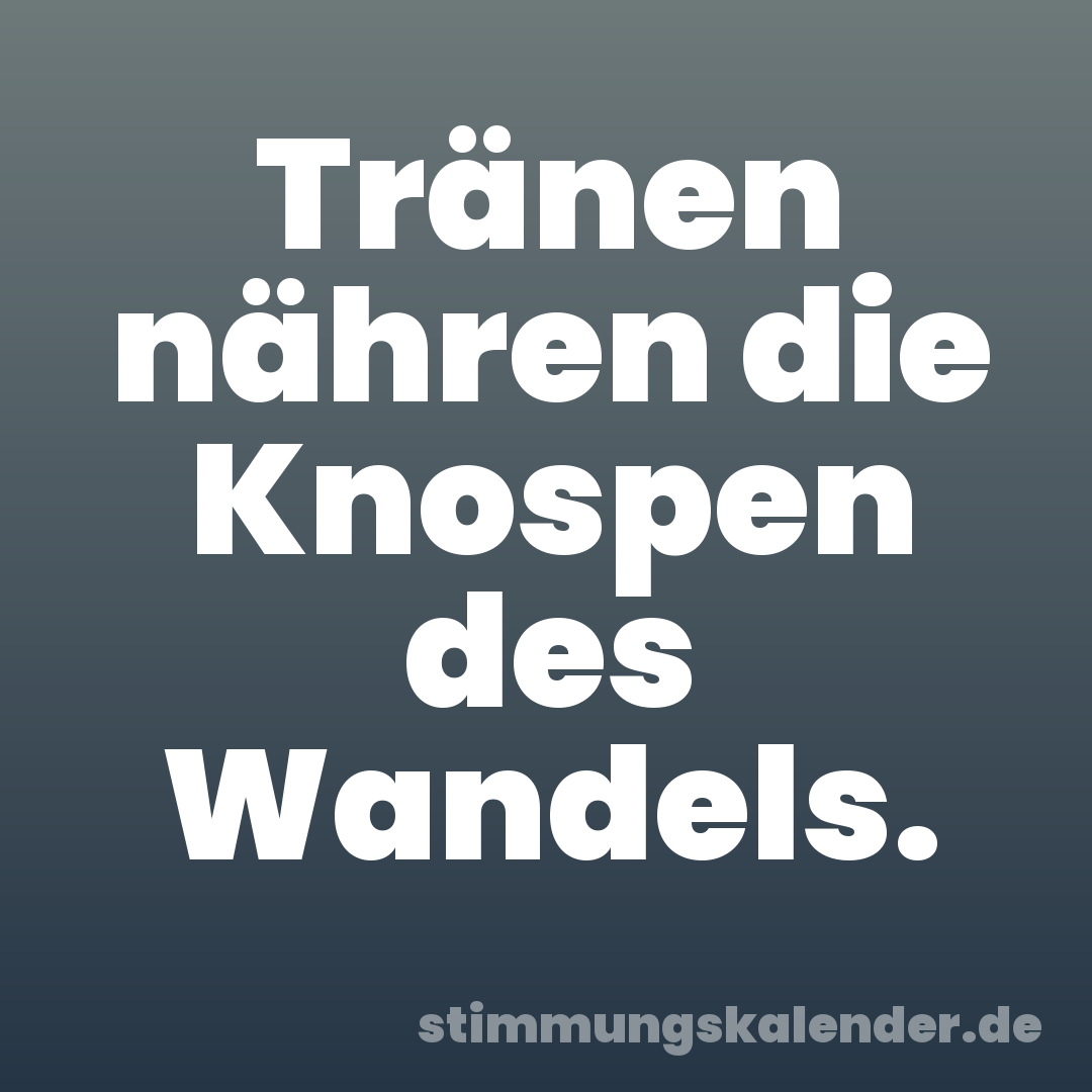 Tränen nähren die Knospen des Wandels.
