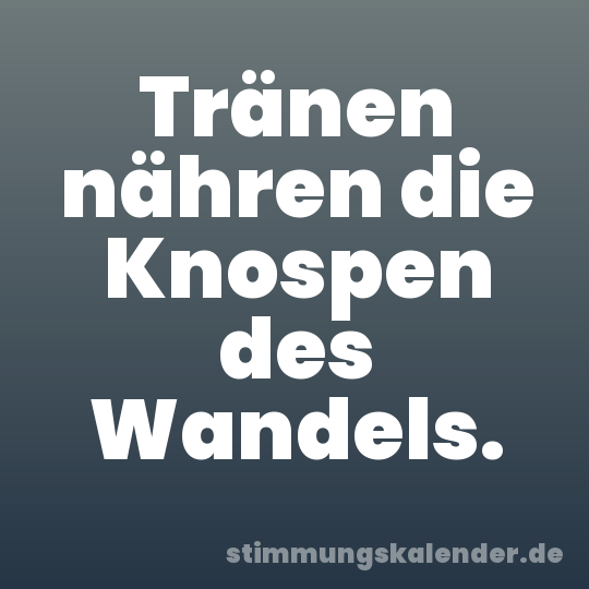 Tränen nähren die Knospen des Wandels.