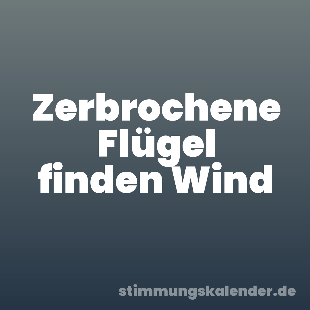 Zerbrochene Flügel finden Wind