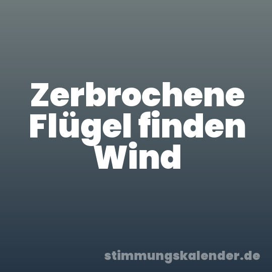Zerbrochene Flügel finden Wind