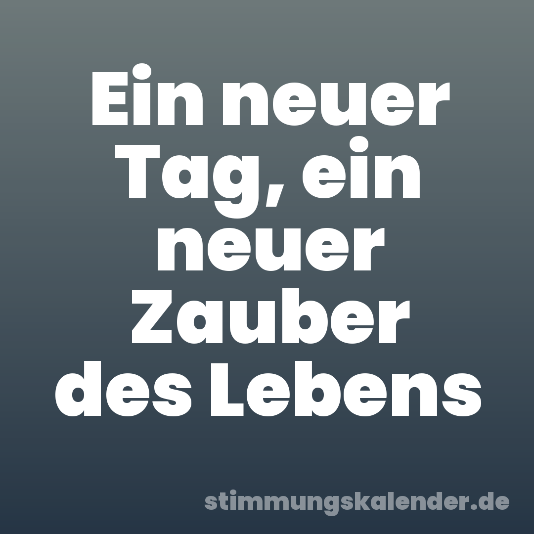 Ein neuer Tag, ein neuer Zauber des Lebens