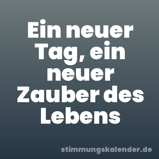 Ein neuer Tag, ein neuer Zauber des Lebens