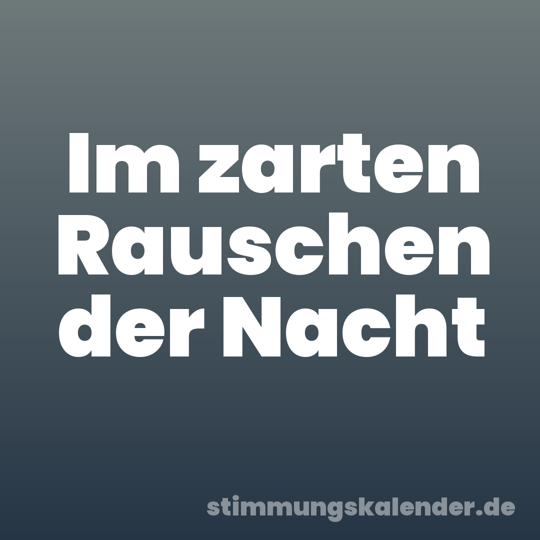 Im zarten Rauschen der Nacht