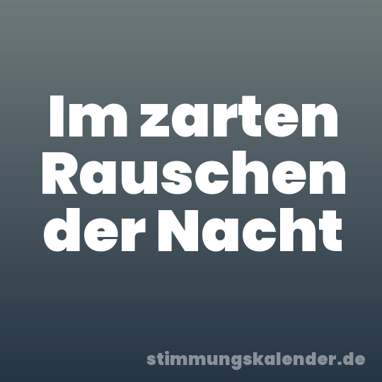 Im zarten Rauschen der Nacht