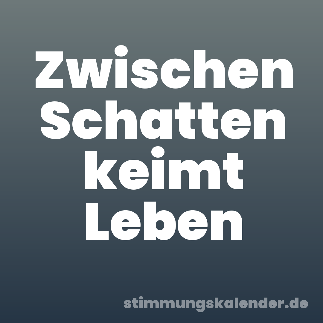 Zwischen Schatten keimt Leben