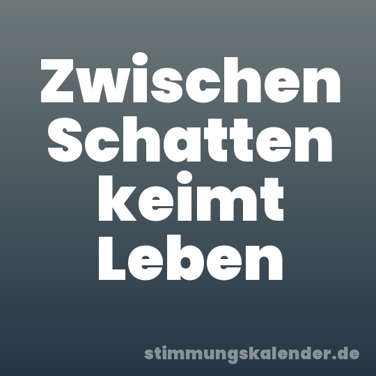 Zwischen Schatten keimt Leben